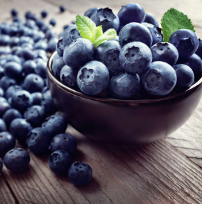 Yogurt and Anxiety The Gut Connection