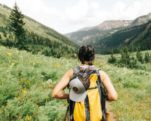 Healing Herbs You Can Eat for Anxiety Natural Calm from the Kitchen